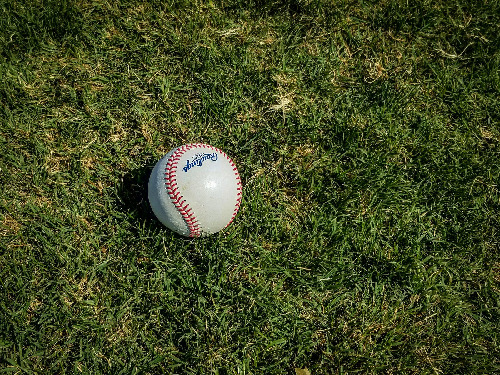 White and red baseball lying on grass