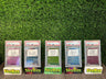 2023 Yu Nagaba Complete Sequential Set PSA 10 Including Pikachu