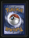 SWSH: Sword & Shield Promo Cards Lucario VSTAR