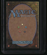 Modern Horizons 2 Verdant Catacombs