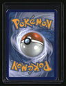 XY Promos Ditto