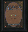 Zendikar Rising Expeditions Misty Rainforest