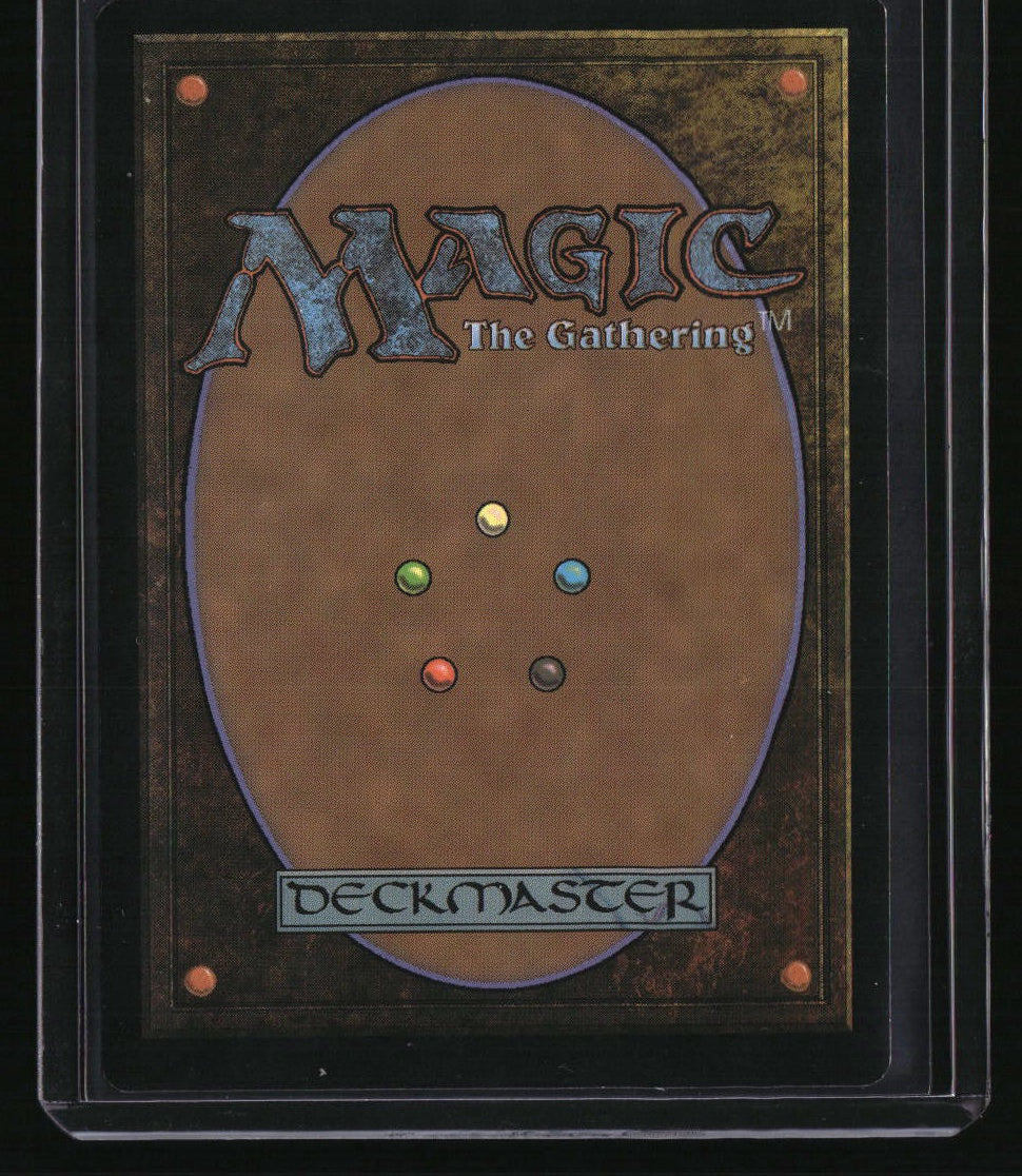 Zendikar Rising Expeditions Misty Rainforest