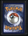 ME: Ascended Heroes N's Zoroark ex