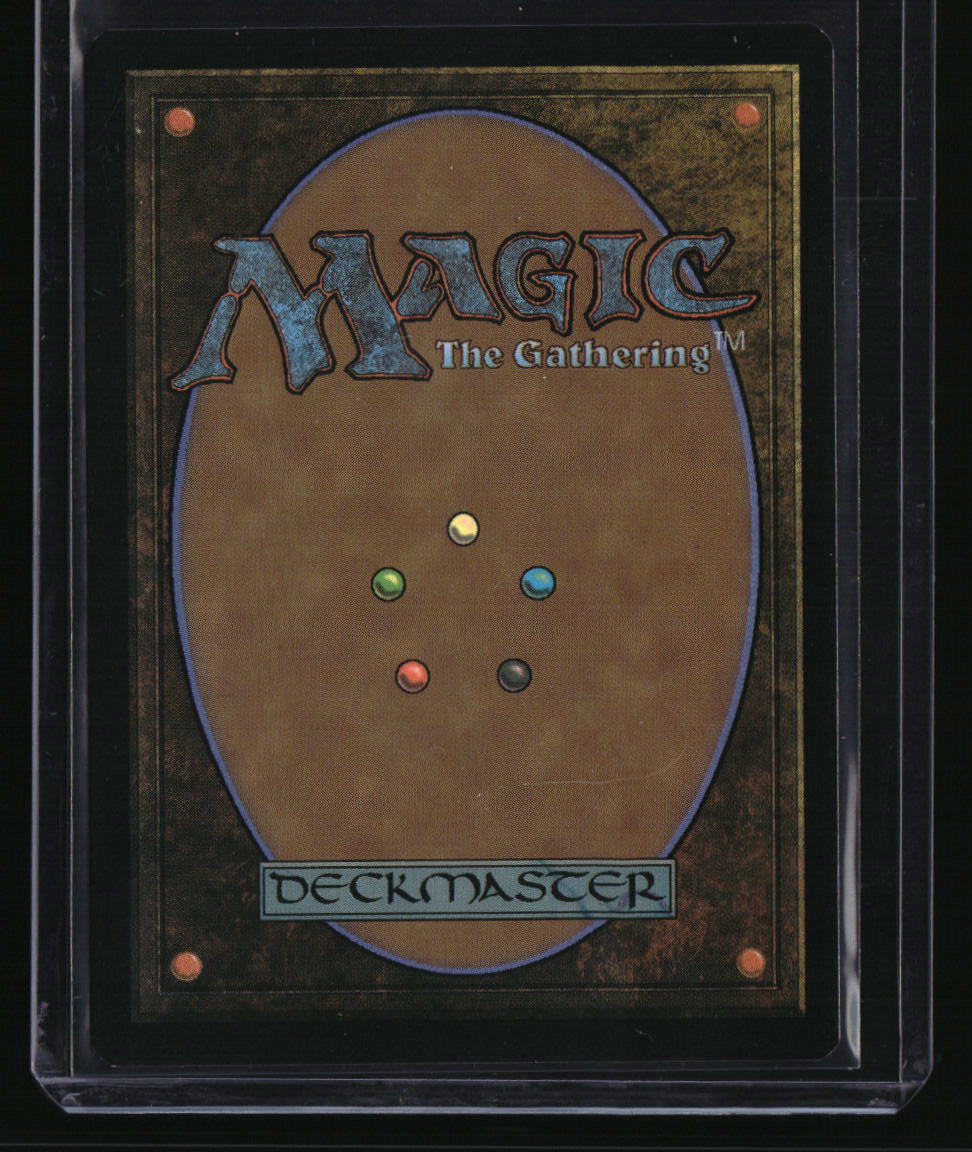 The Lord of the Rings: Arwen, Mortal Queen (Borderless Poster) Foil