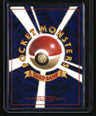 Mystery of the Fossils Magneton