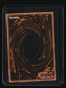 Starter Deck: Joey Red-Eyes B. Dragon
