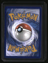 SWSH: Sword & Shield Promo Cards Lucario VSTAR