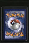 Miscellaneous Cards & Products Eevee