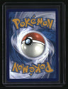 SWSH: Crown Zenith: Galarian Gallery Riolu