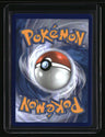 Celebrations: Classic Collection Zekrom