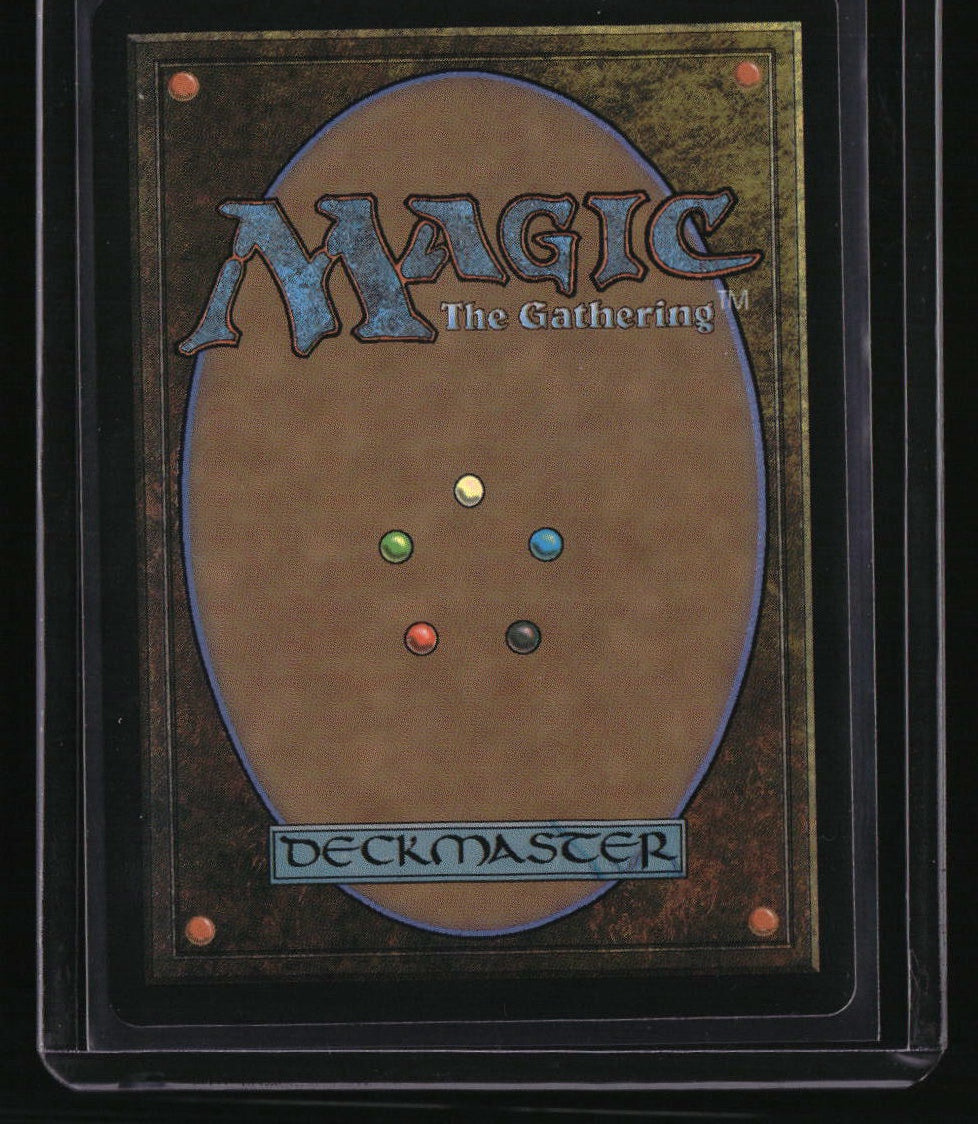 Tarkir: Dragonstorm Forest (0291) Foil