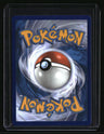 Celebrations: Classic Collection ______'s Pikachu