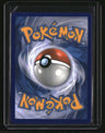 Miscellaneous Cards & Products Eevee
