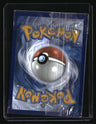 SWSH: Sword & Shield Promo Cards Lucario VSTAR