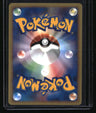 Pokemon VS Chuck's Rhydon