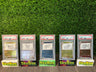 2023 Yu Nagaba Complete Sequential Set PSA 10 Including Pikachu