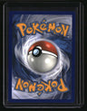 SWSH: Sword & Shield Promo Cards Lucario VSTAR