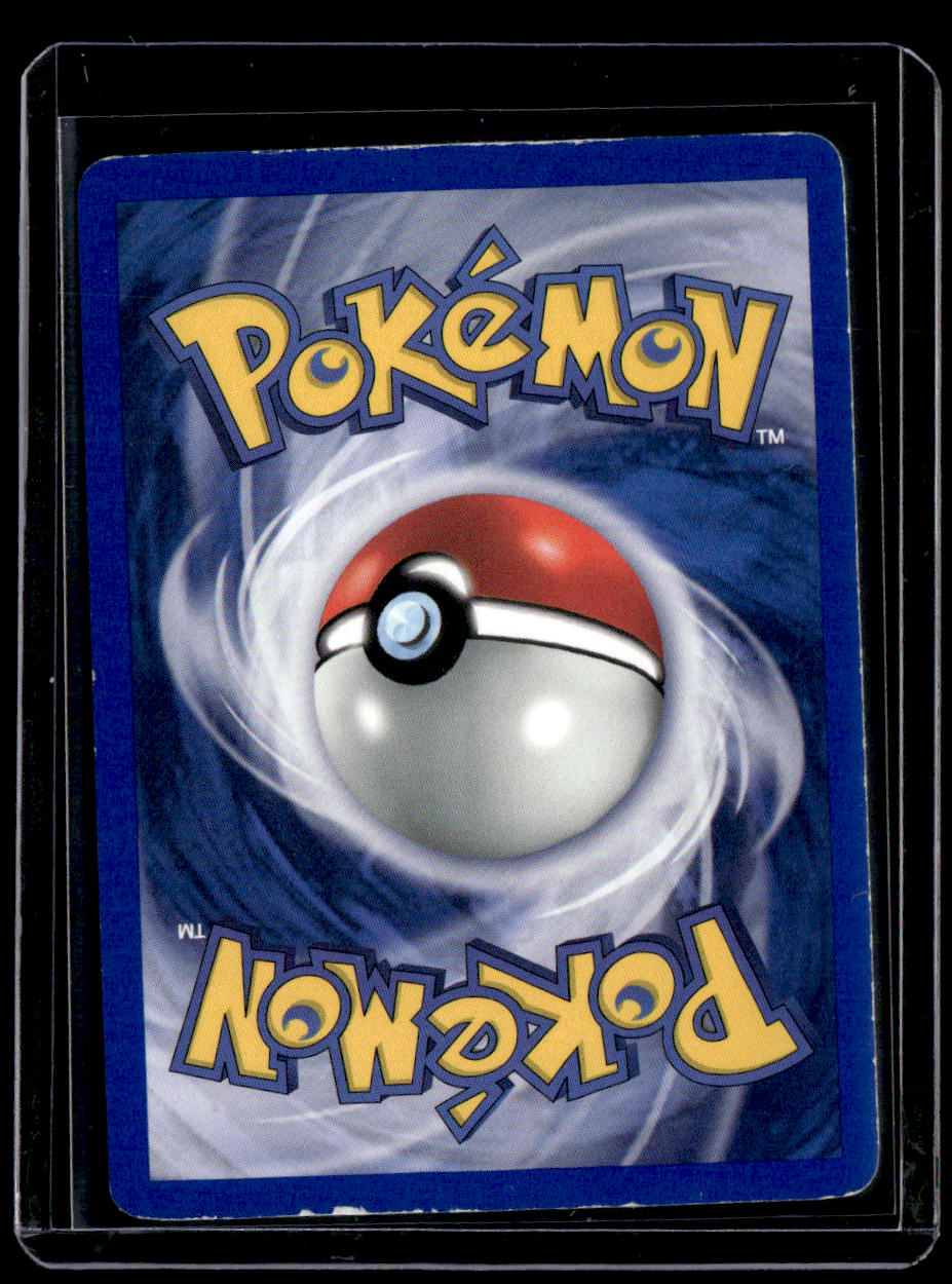 Gym Heroes Brock (15)