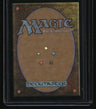 Modern Horizons 3 Windswept Heath