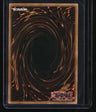 25th Anniversary Rarity Collection II Foolish Burial Quarter Century Secret Rare