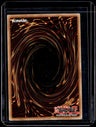 2016 Mega-Tins Blue-Eyes White Dragon