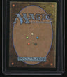 Wilds of Eldraine: Enchanting Tales Omniscience (Anime Borderless)