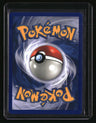 Gym Challenge Blaine's Arcanine