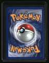 Neo Genesis Steelix
