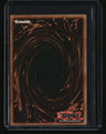Starter Deck: Kaiba Blue-Eyes White Dragon