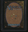 Secret Lair Drop Series Evolution Sage (Extended Art) Foil