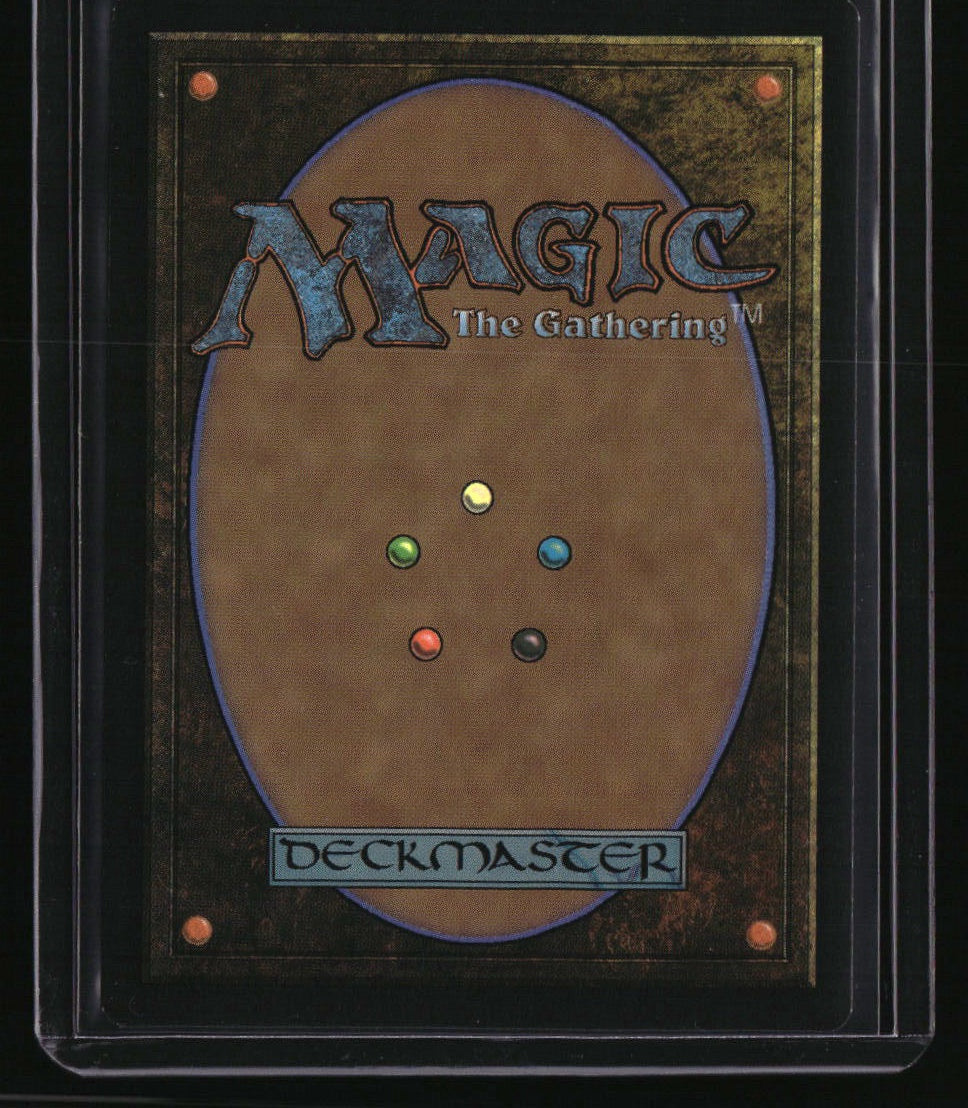 Secret Lair Drop Series Evolution Sage (Extended Art) Foil