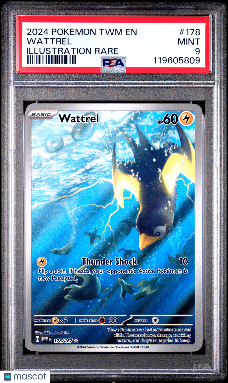 2024 Pokemon Twm En-Twilight Masquerade Wattrel Illustration Rare PSA 9