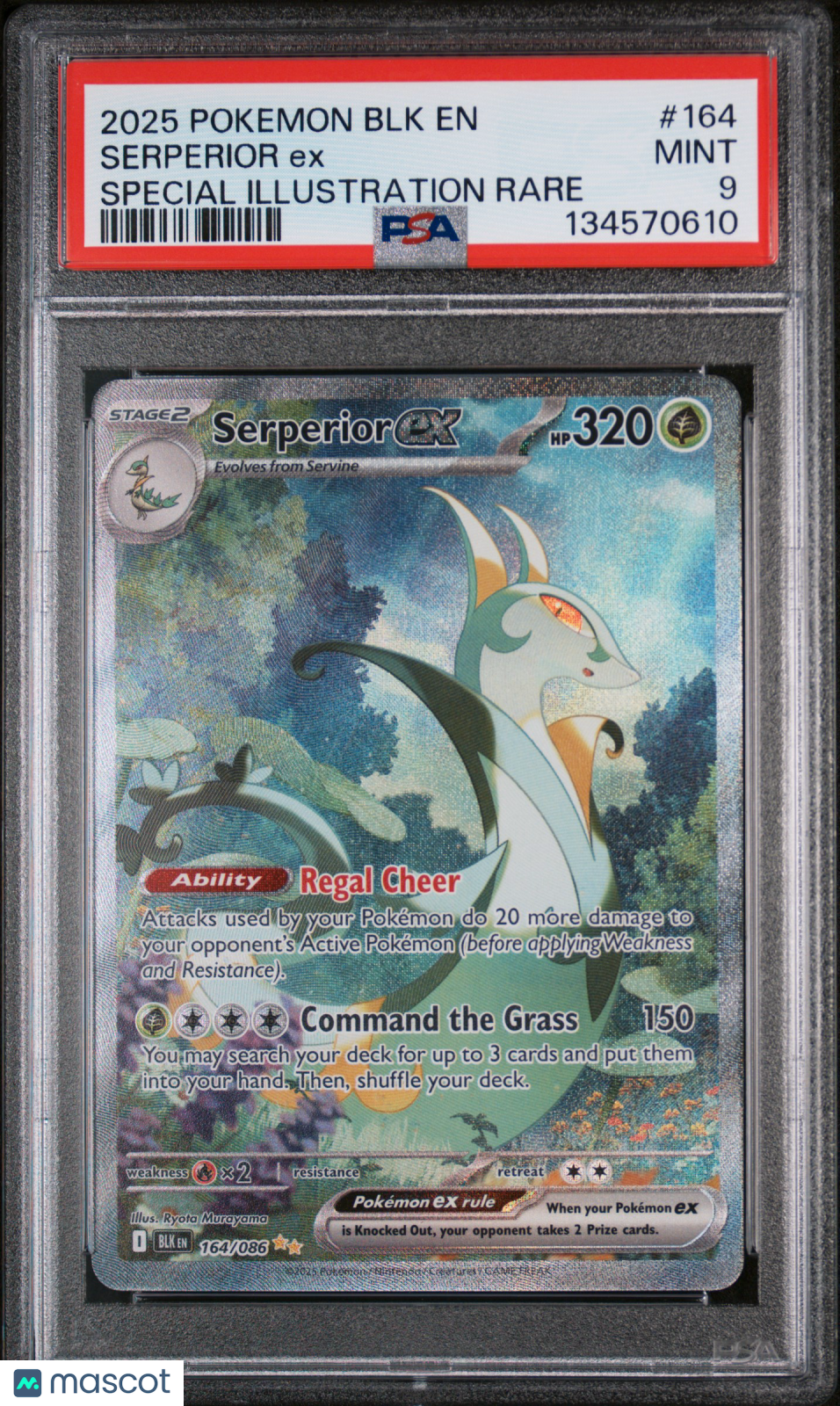 2025 Pokemon Blk En-Black Bolt Serperior Ex Special Illustration Rare PSA 9