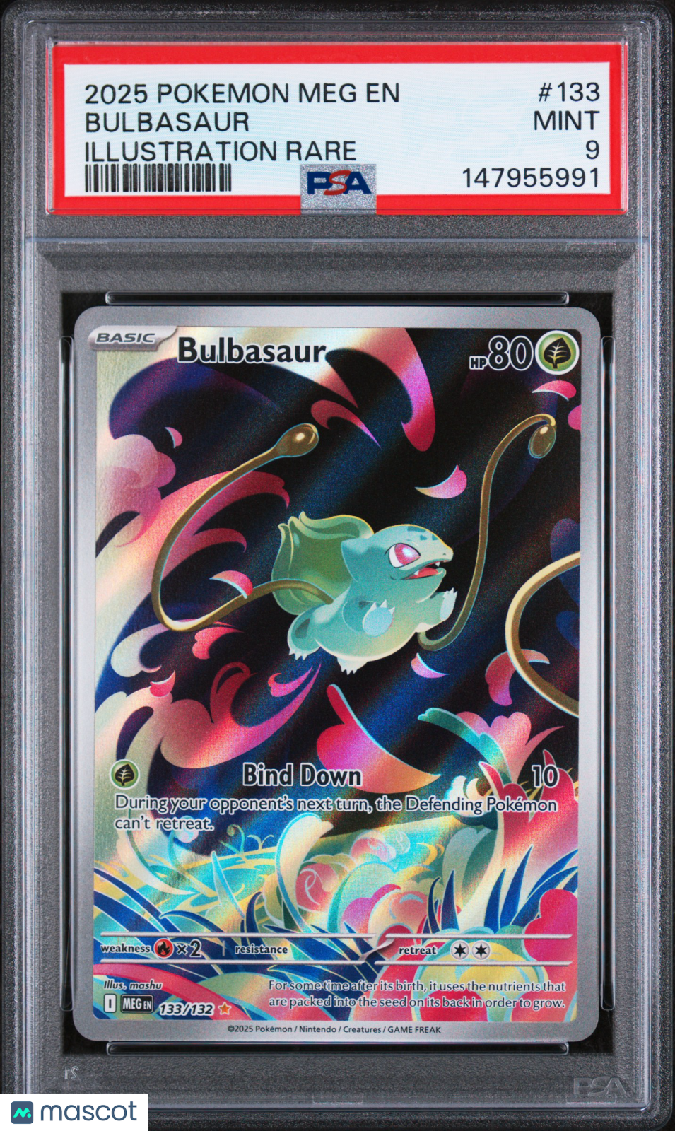 2025 Pokemon Meg En-Mega Evolution Bulbasaur Illustration Rare PSA 9