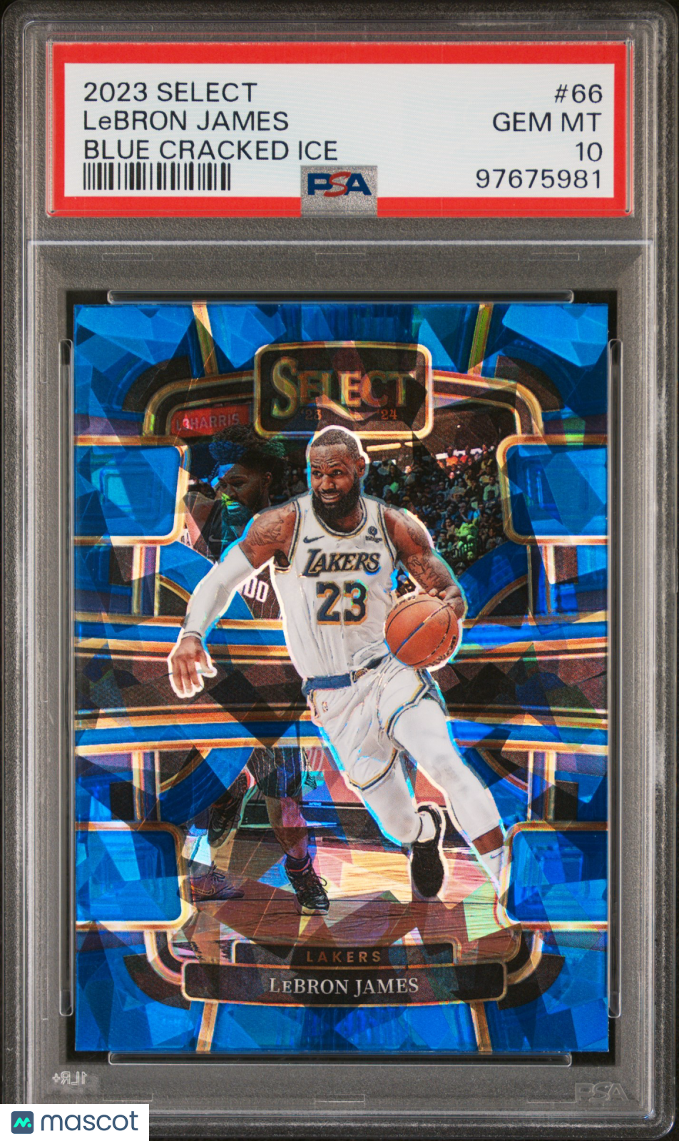 Graded Basketball Cards | Rewards Program | Rare Cards | Free Shipping on USA Orders Over $200 | Graded NBA Cards | Shop Skybox Collectibles Graded Basketball Cards | Rewards Program | Rare Cards | Free Shipping on USA Orders Over $200 | Graded NBA Cards | Shop Skybox Collectibles
