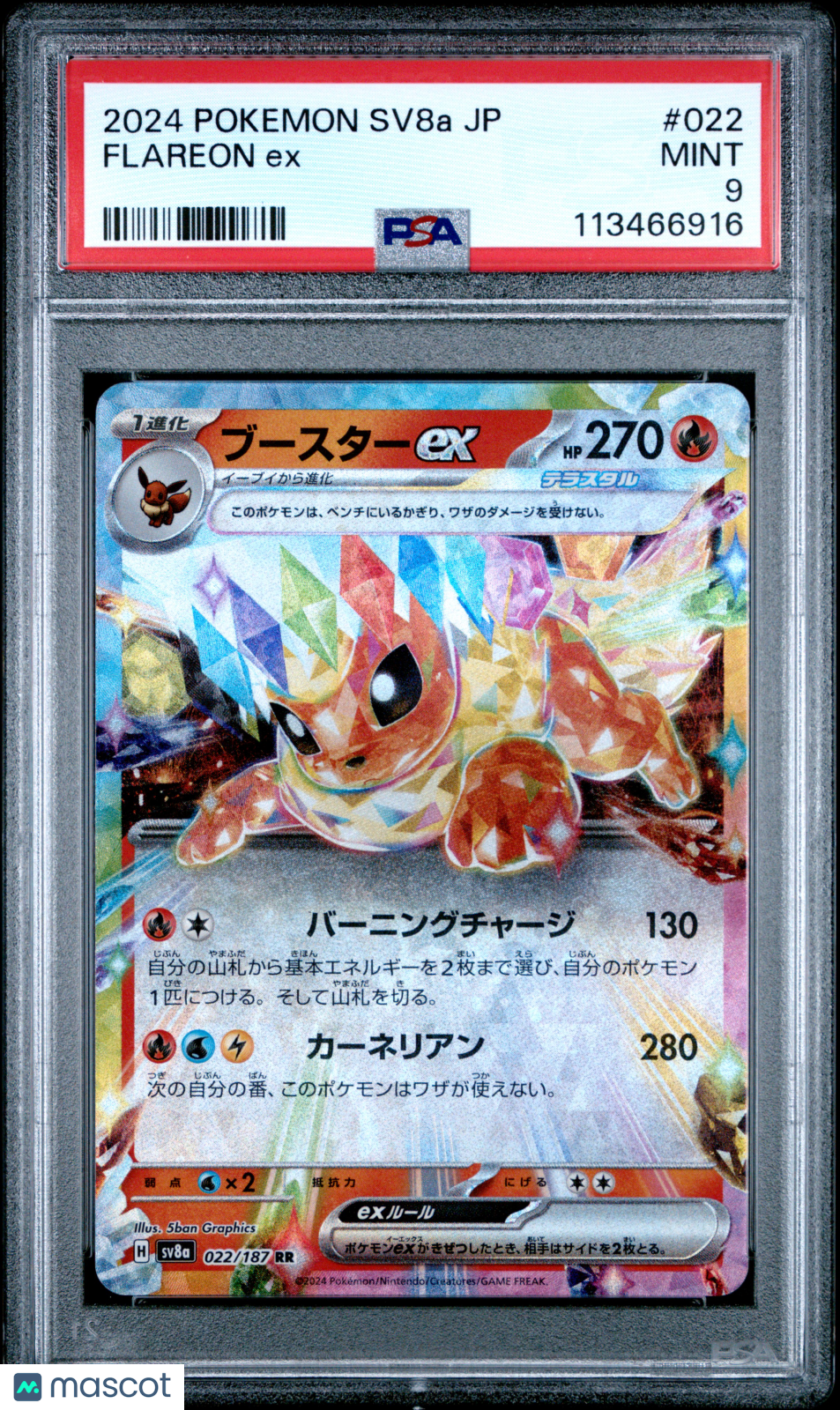 2024 Pokemon Japanese Sv8a-Terastal Fest Ex Flareon Ex PSA 9