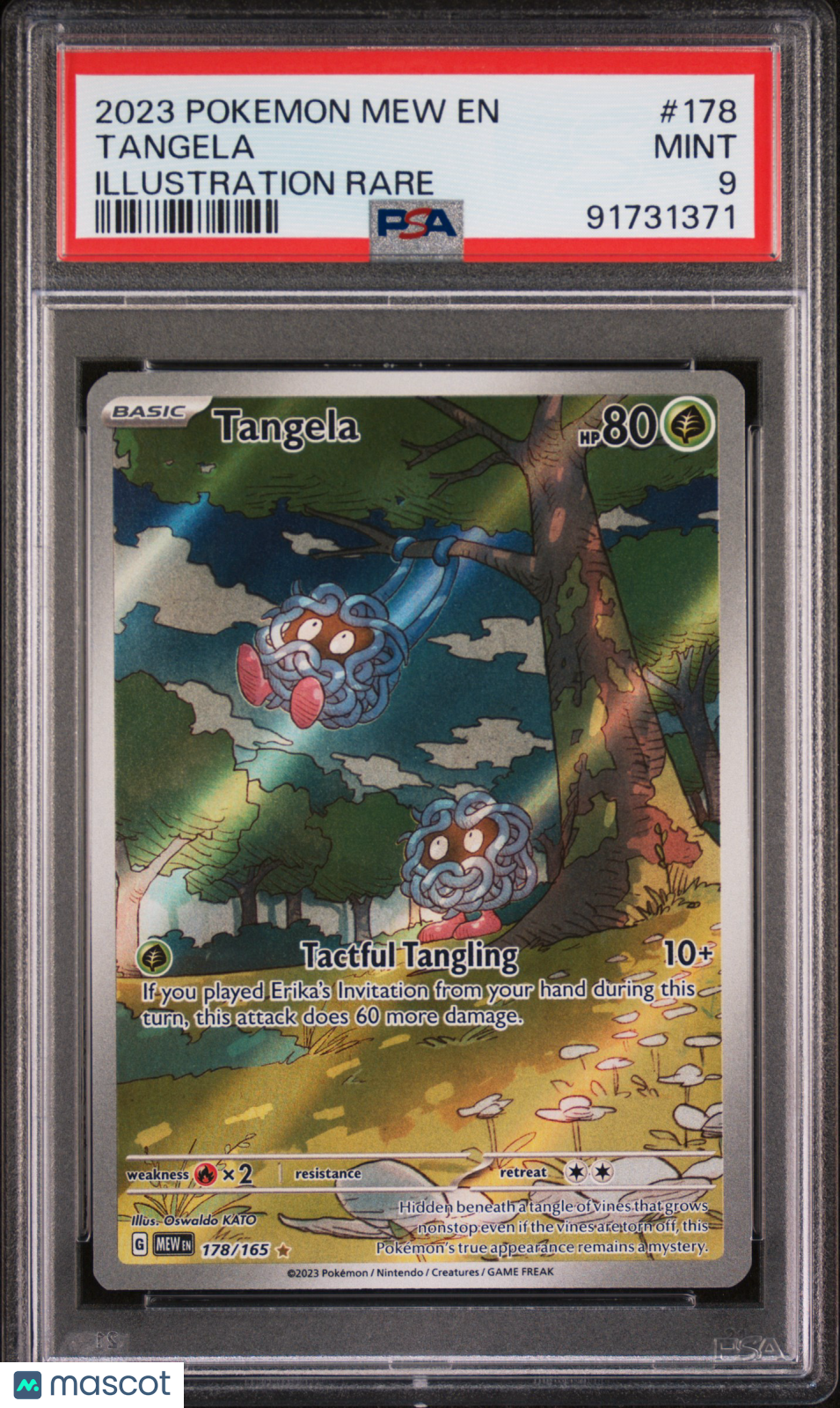 2023 Pokemon Mew En-151 Tangela Illustration Rare PSA 9