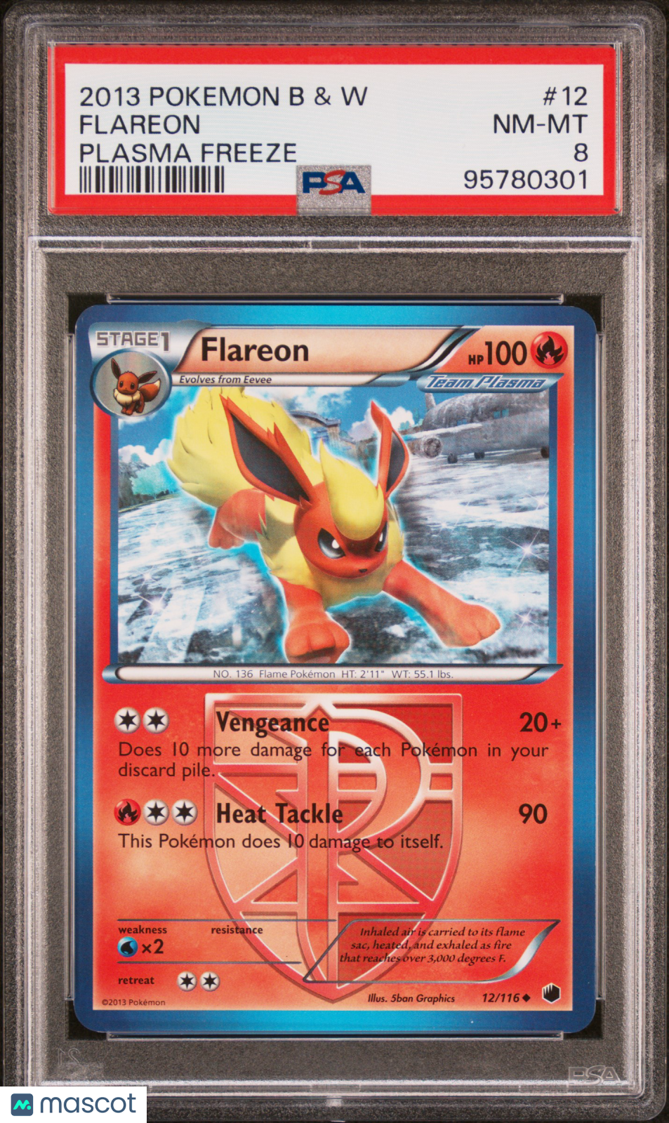 2013 Pokemon Black & White Plasma Freeze Flareon Plasma Freeze PSA 8
