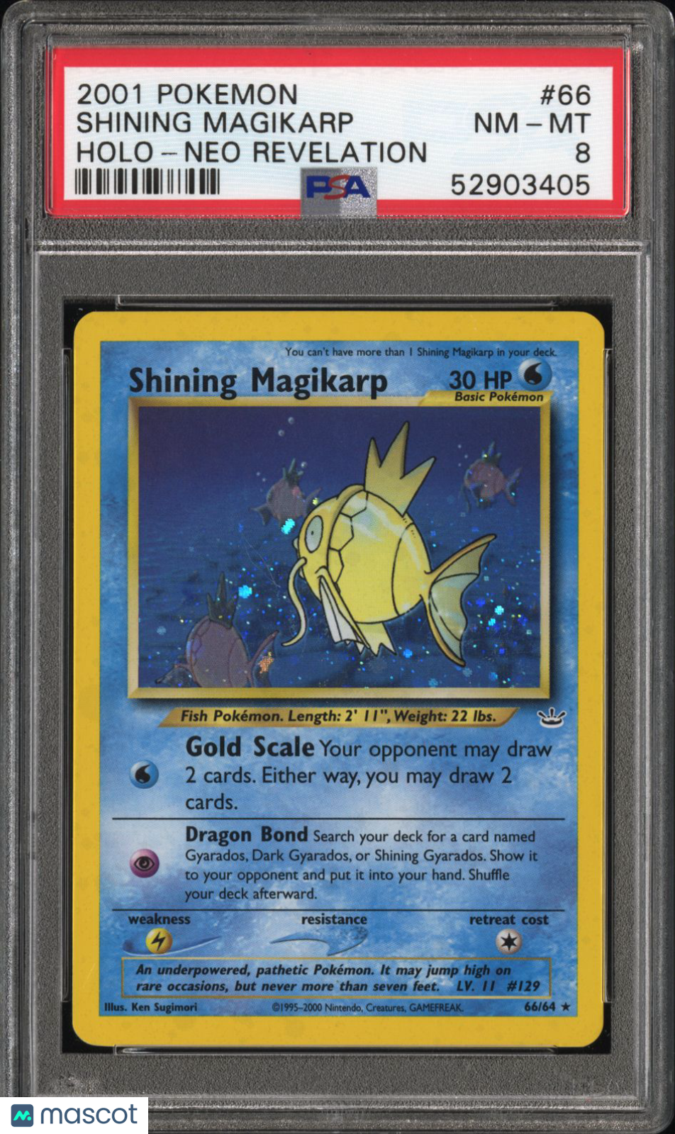2001 Pokemon Neo Revelation Shining Magikarp-Holo PSA 8