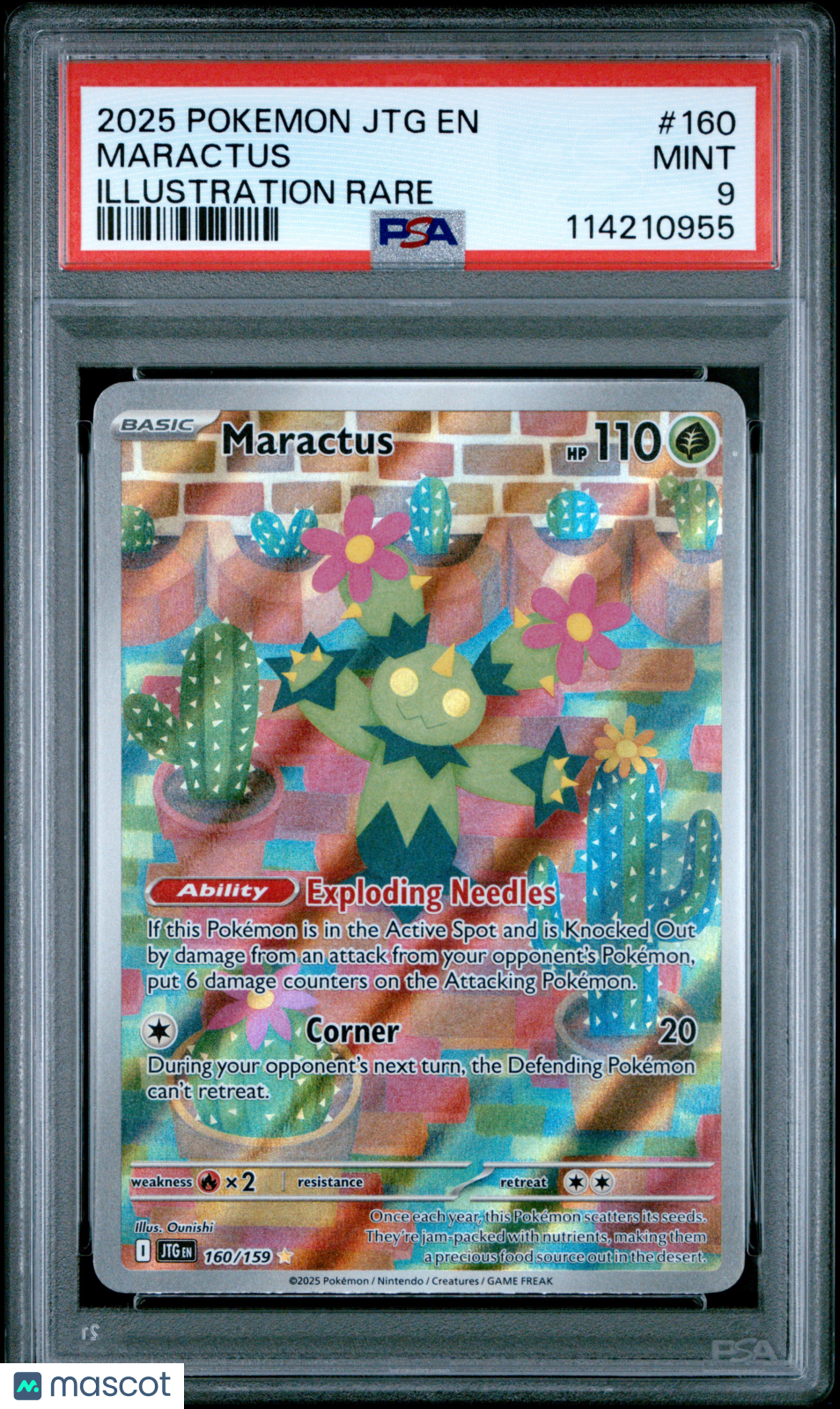 2025 Pokemon Jtg En-Journey Together Maractus Illustration Rare PSA 9