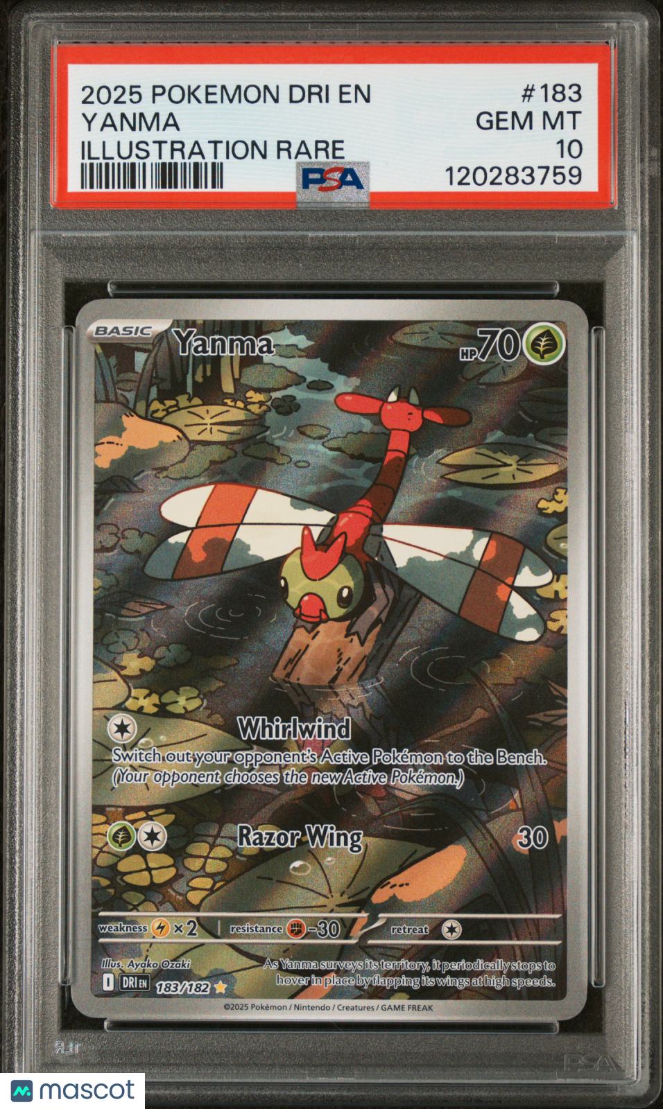 2025 Pokemon Dri En-Destined Rivals Yanma Illustration Rare PSA 10