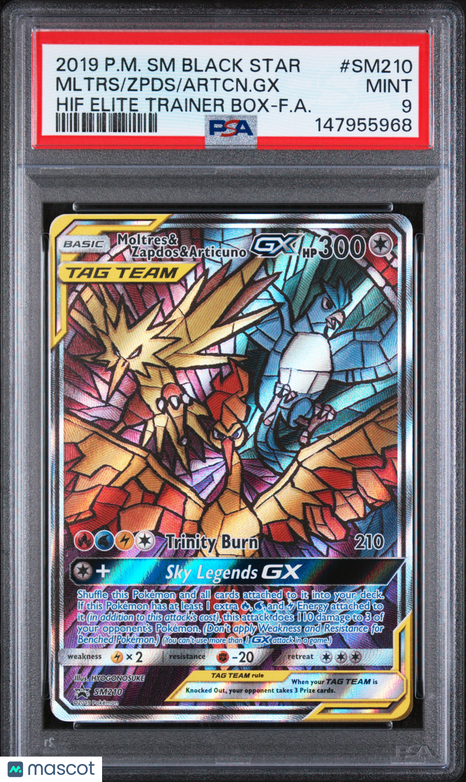 2019 Pokemon Sm Black Star Promo Mltrs/Zpds/Artcn.Gx Hif Elite Trainer Box PSA 9