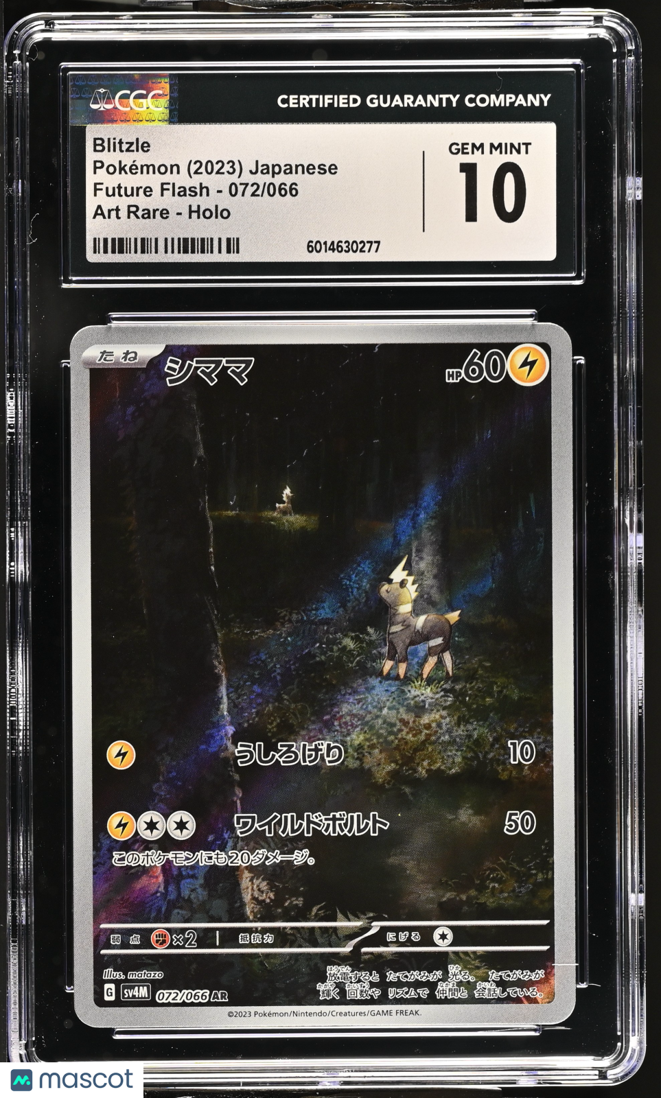 2023 Future Flash Blitzle CGC 10