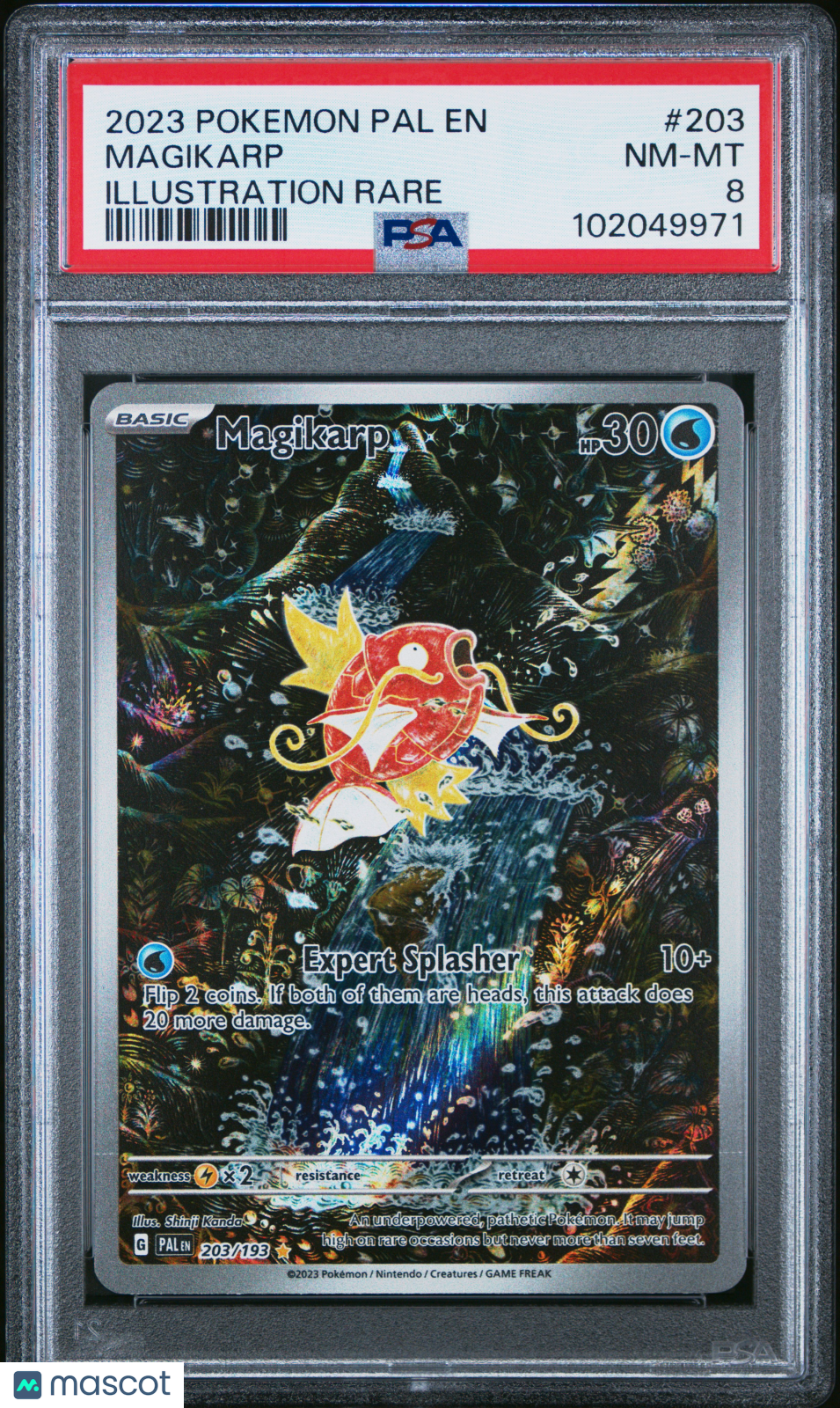 Graded Pokmon Cards for Sale | Exclusive Cards | Rewards Program | Free Shipping on USA Orders Over $200 | Buy Graded Pokmon Cards | Shop Skybox Collectibles Graded Pokmon Cards for Sale | Exclusive Cards | Rewards Program | Free Shipping on USA Orders Over $200 | Buy Graded Pokmon Cards | Shop Skybox Collectibles