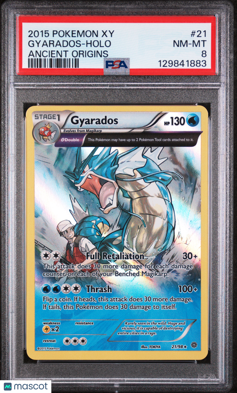 2015 Pokemon Xy Ancient Origins Gyarados-Holo Ancient Origins PSA 8