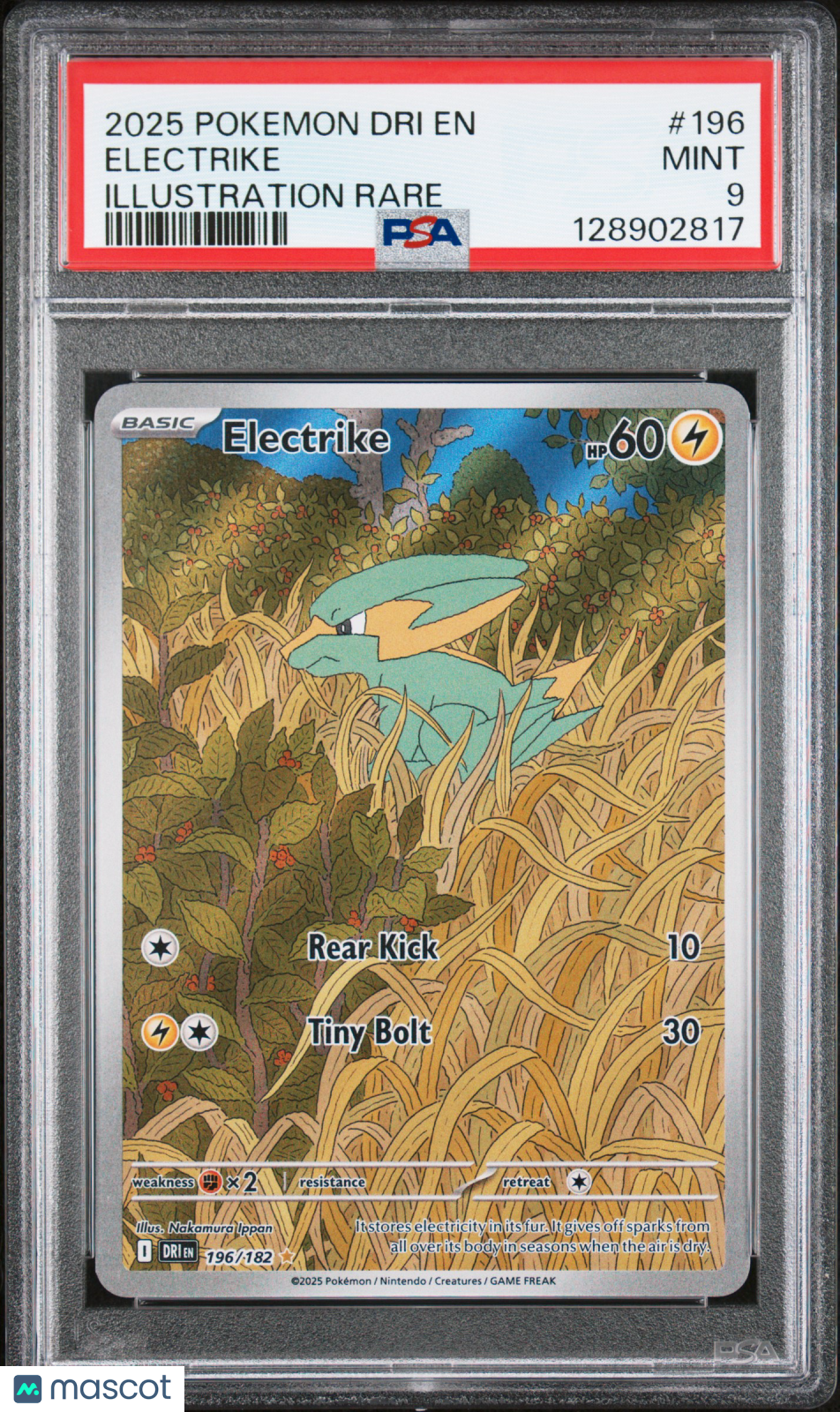 2025 Pokemon Dri En-Destined Rivals Electrike Illustration Rare PSA 9