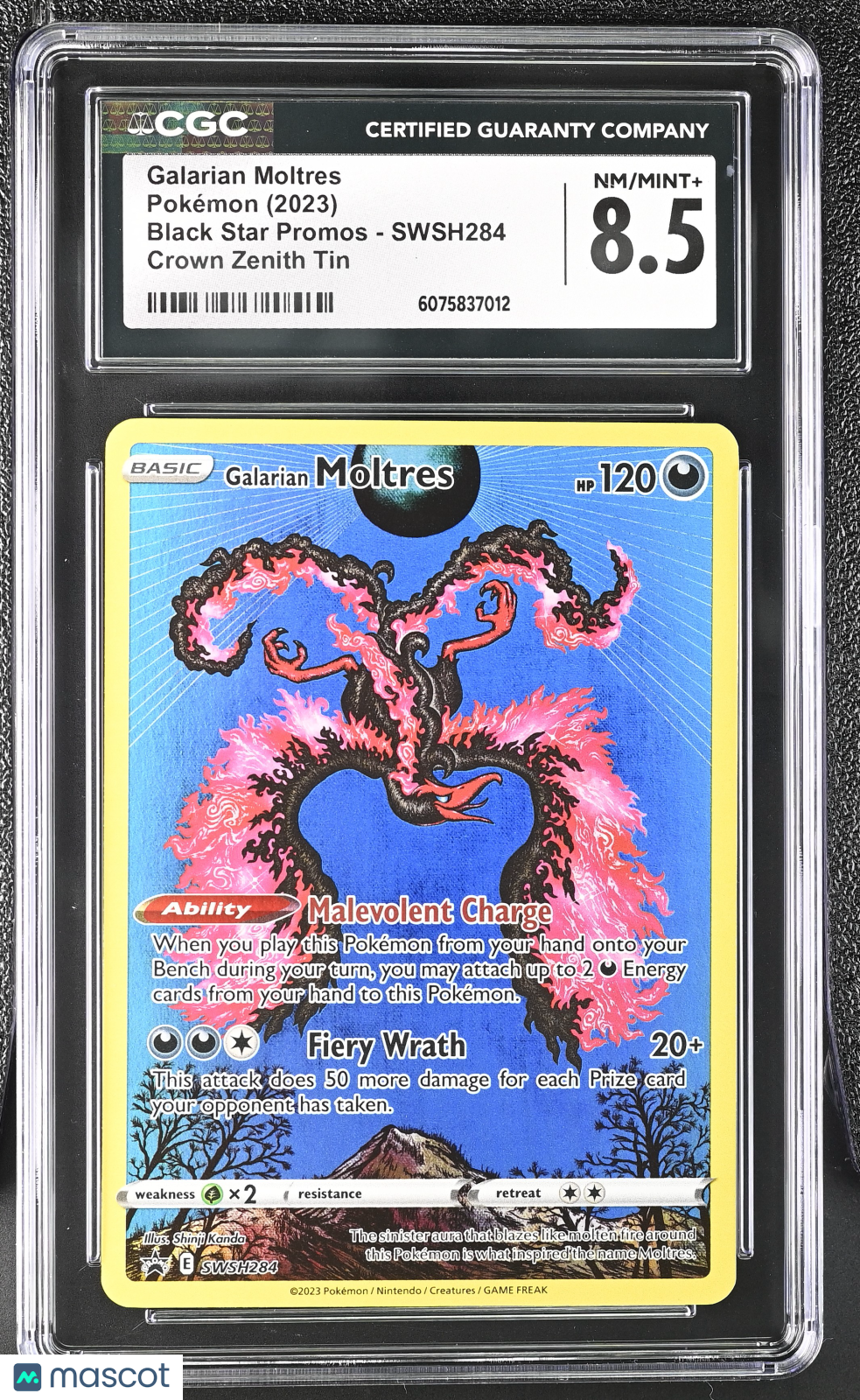 2023 Black Star Promos Galarian Moltres CGC 8.5