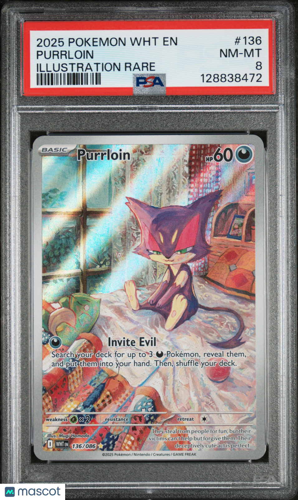 2025 Pokemon Wht En-White Flare Purrloin Illustration Rare PSA 8