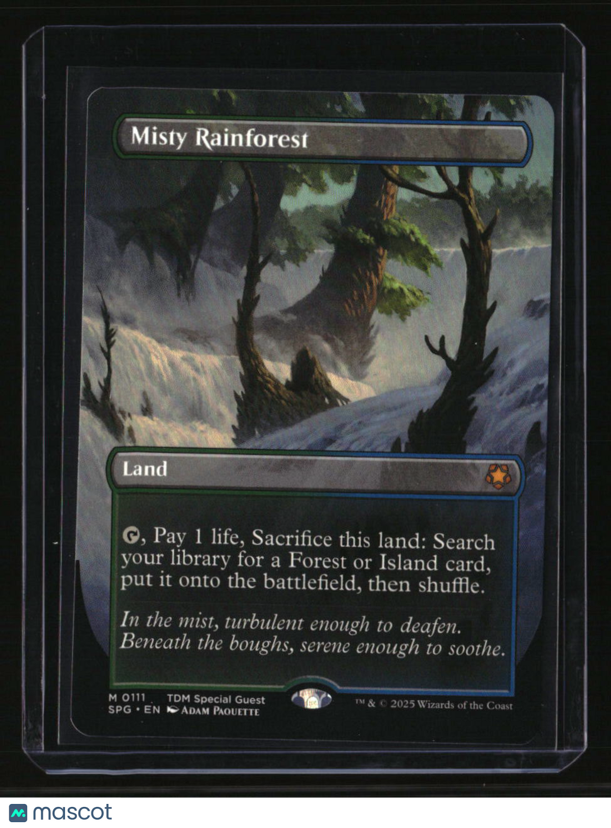 Special Guests Misty Rainforest (Borderless)